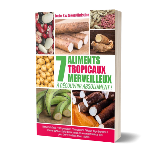 7 aliments tropicaux merveilleux à découvrir absolument -by Josie k & Christine Zokou