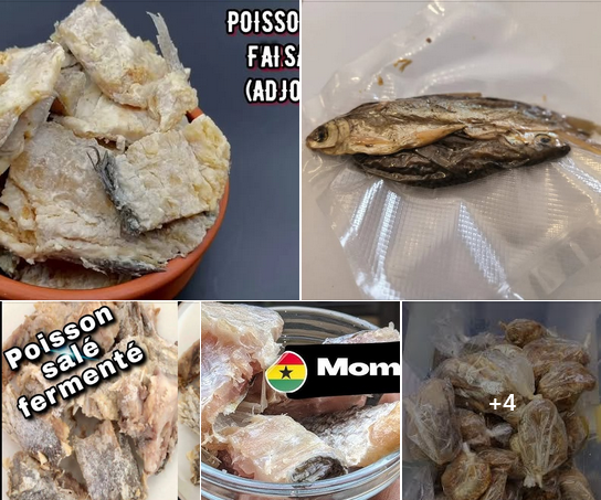 5 VÉRITÉS SURPRENANTES SUR L'ADJOVAN!
