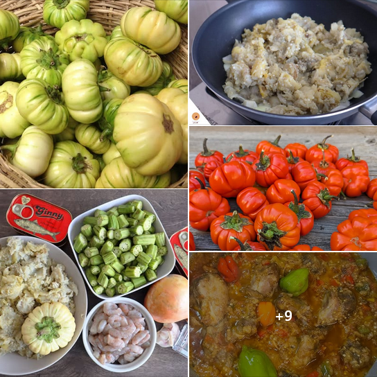 💹 5 VÉRITÉS SURPRENANTES SUR LES AUBERGINES AMERES (Solanum aethiopicum) !
