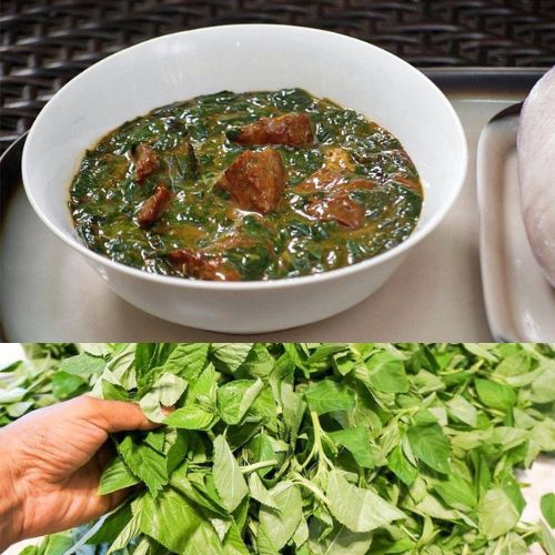 Un Légume "Africain" à découvrir: Le CRINCRIN/ TEGUEU/ KELEN-KELEN - by nutrition tv