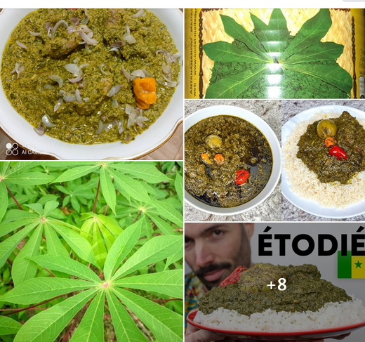 💡5 VÉRITÉS BOULEVERSANTES SUR LES FEUILLES DE MANIOC !
