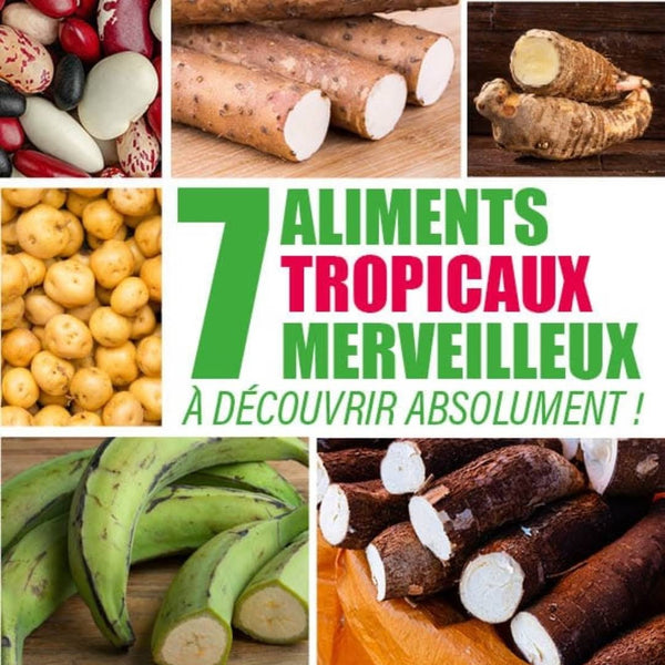 7 aliments tropipicaux à découvrir absolument - by nutrition tv