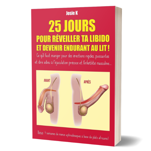 25 Jours pour Réveiller ta Libido et Devenir Endurant au Lit- by Josie K